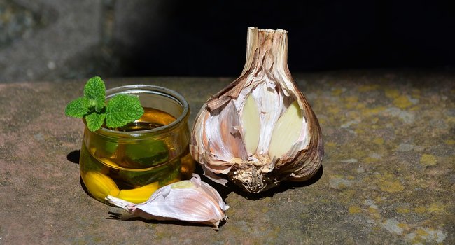 garlic extract