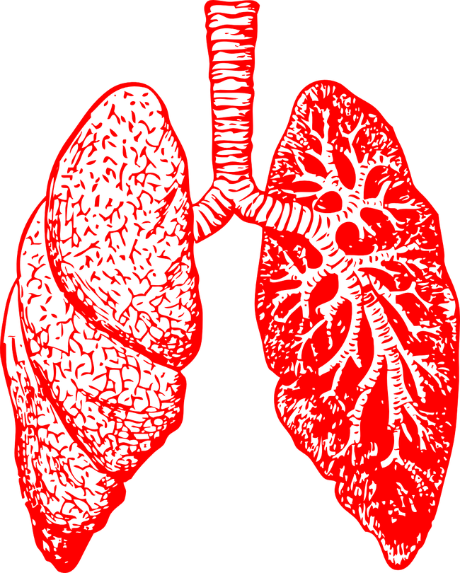 what is bronchitis, its symptoms and cause