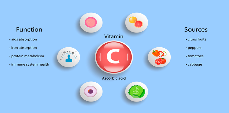 vitamin c function and sources