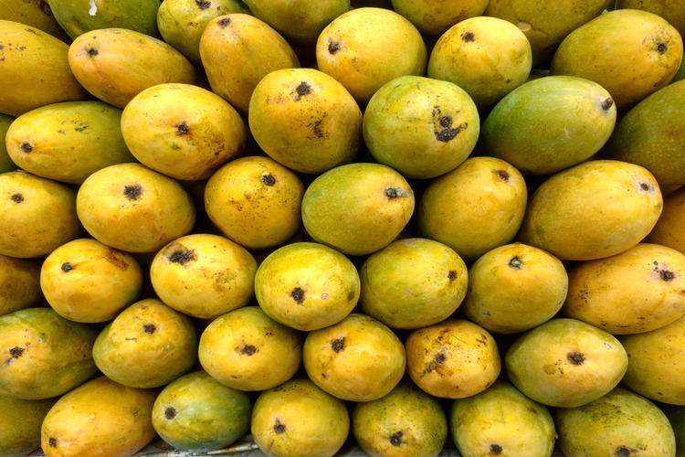 fresh dashari aam or mango