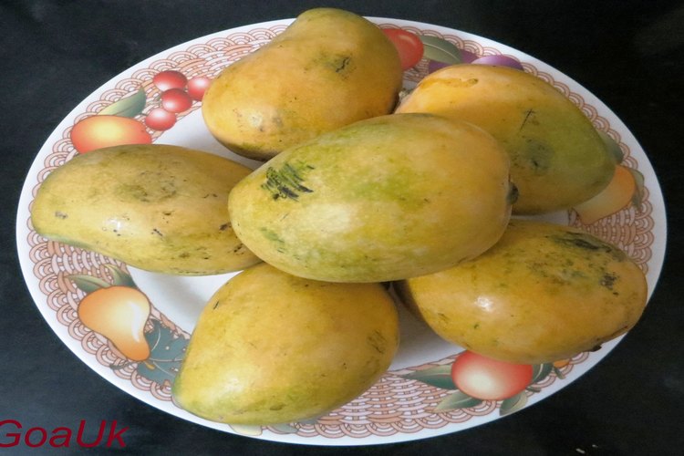 neelam mangoes kept on plate