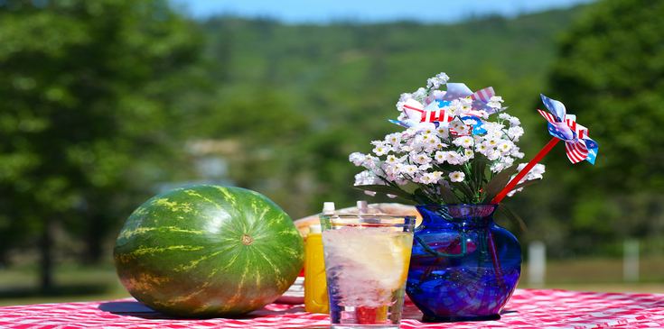 picnic watermelon kept on table at garden