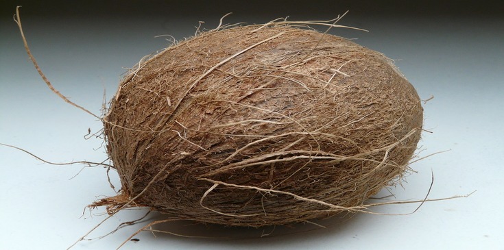 Whole mature coconut with hard shell