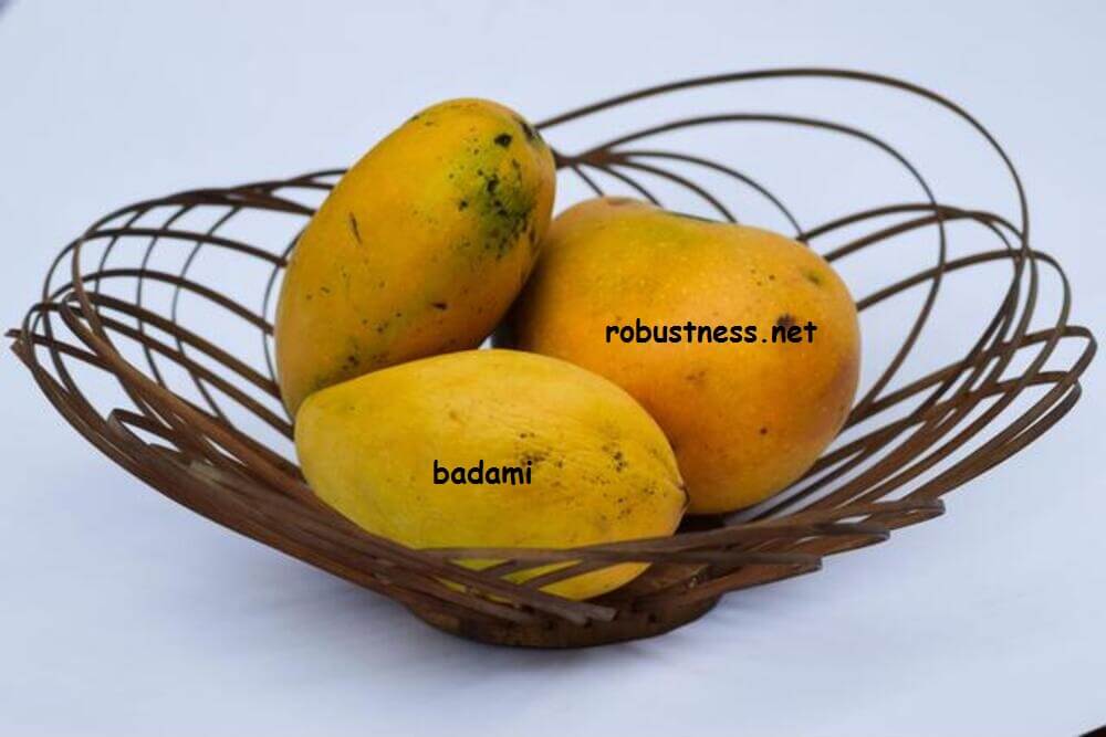 badami mangoes