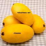 chaunsa one of sweetest mangoes in india