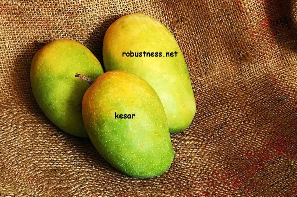 gujrati mango kesar or gir kesar